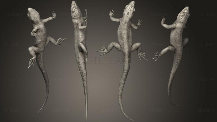 Статуэтки животных lizard01